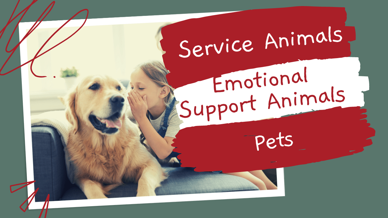 Service Animals, Emotional Support Animals, and Pets | Lakewood Landlord Guide